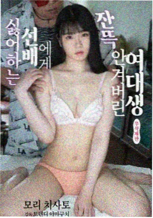 繁花 更新